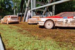 20240615_155054_v1_web